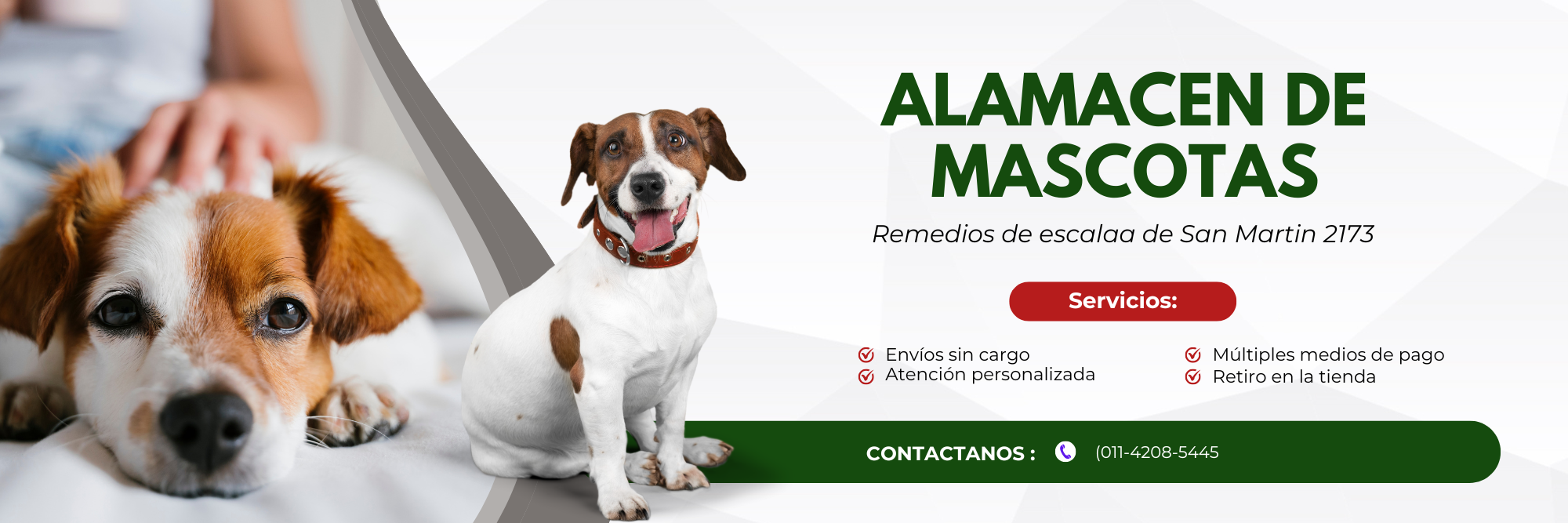 Mascotas felices comiendo